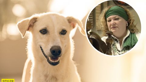 Українка виготовляє з шерсті своїх домашніх улюбленців одяг, який лікує хвороби