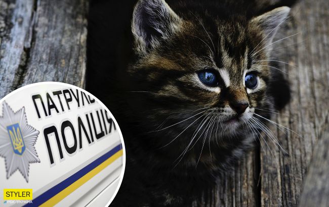 У Києві помітили цинічного шкуродера: труїв і вбивав котів