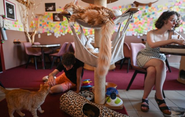 Живий манекен і розпрямляч подушок. Яку "екзотичну" роботу пропонують у Польщі