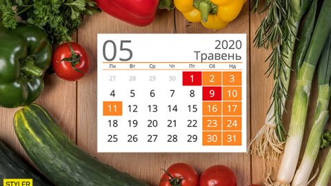 Посевной календарь на май 2020: когда можно и нельзя сажать и сеять