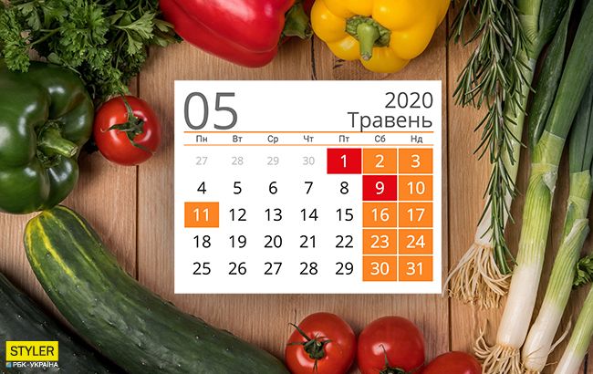 Посівний календар на травень 2020: коли можна і не можна садити і сіяти