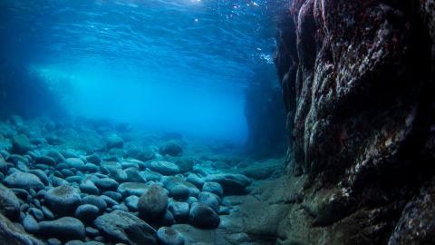Чому вода в морі солона, а у річках - прісна: дивовижні факти