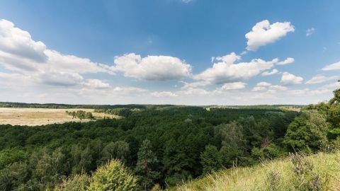 Острова на Днепре и камерная пещера: самые интересные локации для уикенда на Киевщине