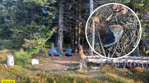 "Відкрили око, яке вціліло": найбільш постраждала від вибуху в Карпатах прокинулася в лікарні