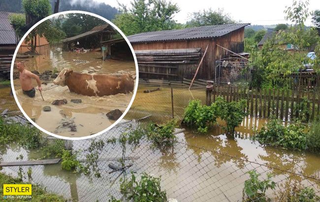 В Україні сильні зливи накоїли біди: затоплено будинки, людей евакуюють (фото, відео)