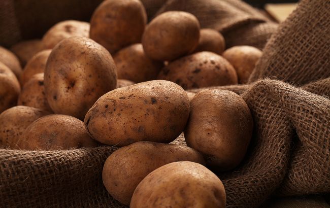 Как остановить прорастание картофеля в конце зимы: важные правила хранения овоща