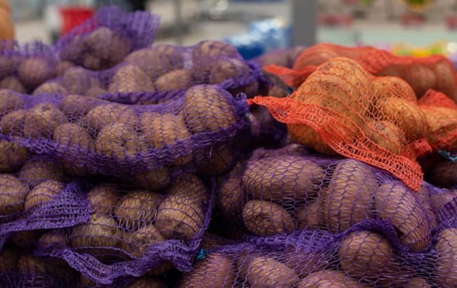 Названо лучшее место для хранения картошки: будет лежать в три раза дольше