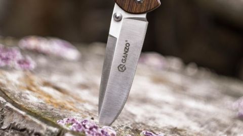 Піді Львовом художник зарізав дружину за неприбране подвір'я