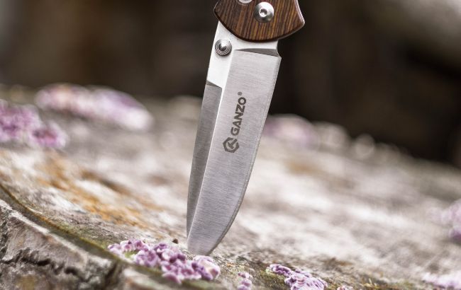 ​В Киеве мужчина ранил ножом арендатора квартиры