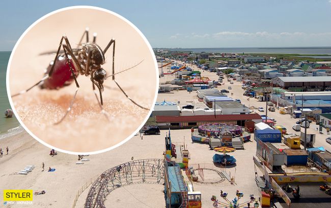 Популярний український курорт атакували полчища комарів: пробиваються через будь-які щілини (відео)