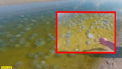 Туристы рассказали, что сейчас происходит в Кирилловке: вонище и печаль