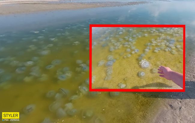 У Кирилівці показали на відео "кисільне місиво" з медуз: "хто мріяв про безлюдний пляж?"