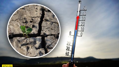 Засуха и ад: климатолог дала тревожный прогноз по Украине