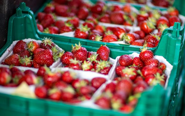 Конец сезона – цены вниз? Как изменится стоимость клубники в июле