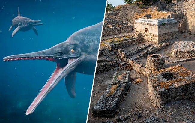 Древний календарь расшифровал мебельщик, а Уран открыл скрипач. Известные открытия, сделанные дилетантами