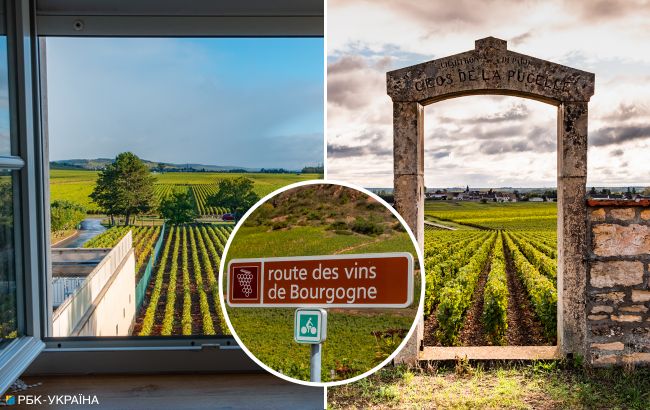 Бургундия, Тоскана и Порту. Где дегустировать вино в Европе: лучшие локации и маршруты