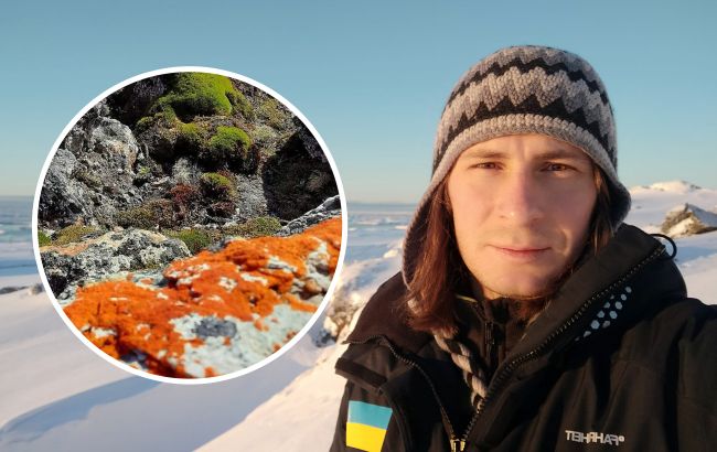 Ось ці рослини виживають серед вічної мерзлоти! Полярники поділились унікальними фото