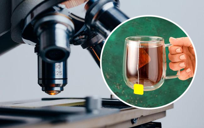 Чи справді у пакетованому чаї є рештки комах: відео з-під мікроскопа