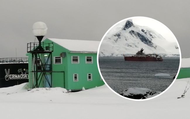 На станции Вернадского полярники принимали необычных гостей: "это было невероятно!"