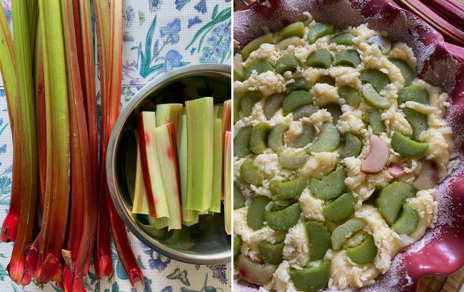 Із хрустким пісочним тістом і соковитою серединкою: рецепт дуже смачного пирога з ревеню