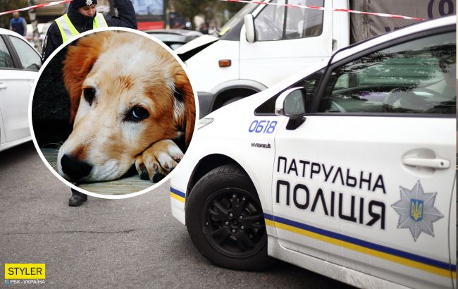 В Кременчуге живодер разбросал по улице шкурки мертвых собак
