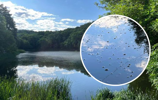 Вода в бульбашках, риби біля берега. В одному із парків Києва – катастрофа з озерами (фото)