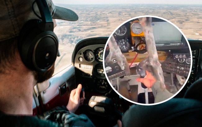 Окровавленный пилот продолжил полет с гигантской птицей, которая пробила лобовое стекло и застряла (видео)