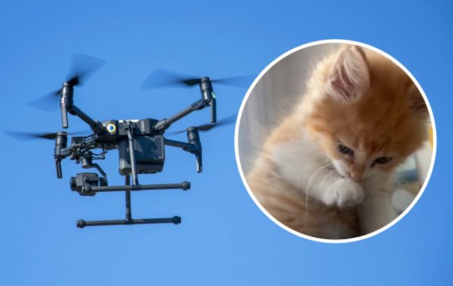 Врятоване на Каховській ГЕС кошеня зібрало три мільйони на дрон для ЗСУ в прямому ефірі (відео)