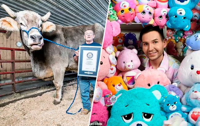 Самый высокий бычок в мире, огромная коллекция плюшевых мишек. Кто еще вошел в Книгу Рекордов Гиннеса 2024