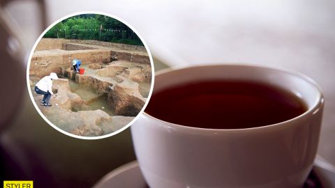 В Китае археологи нашли самую древнюю в мире чашку чая