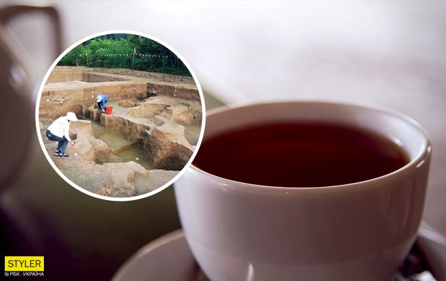 В Китае археологи нашли самую древнюю в мире чашку чая