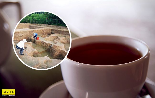 В Китае археологи нашли самую древнюю в мире чашку чая