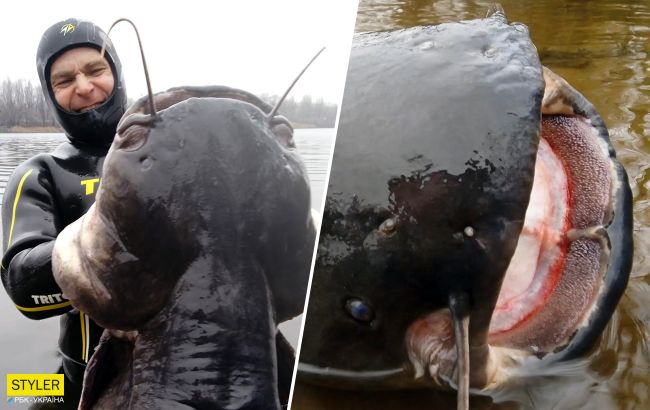 У Дніпрі чоловік впіймав величезного сома вагою майже 50 кілограмів (фото)