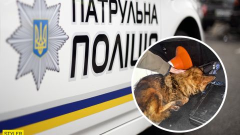 Украинские полицейские спасли собаку: какой поступок помог животному (фото)