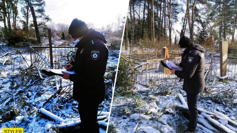 Под Черниговом предприниматель рубил деревья на кладбище и повредил 15 могил (фото)