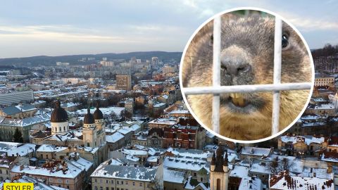 Львівські бабаки-синоптики прокинулися на місяць раніше: яку весну це віщує