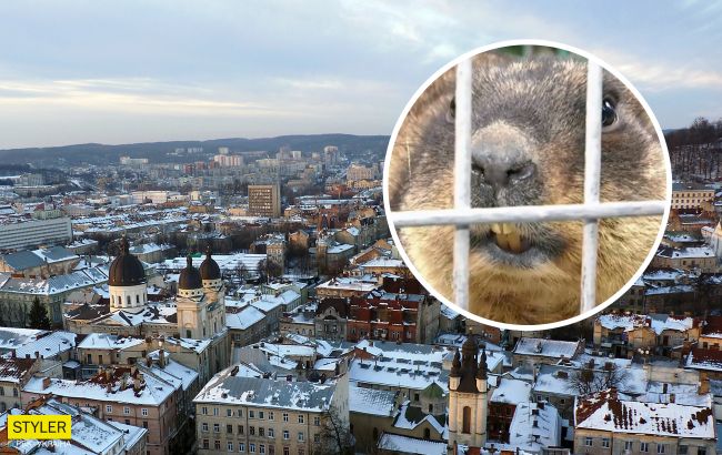 Львовские сурки-синоптики проснулись на месяц раньше: какую весну это предвещает