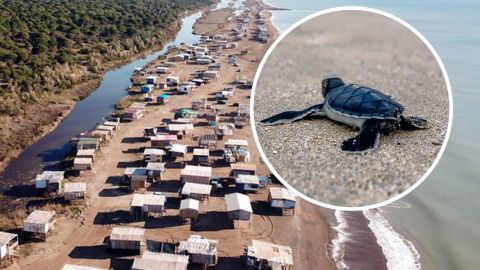 "Безплатні канікули". В Анталії вибухнув скандал навколо 500 саморобних будиночків на пляжах