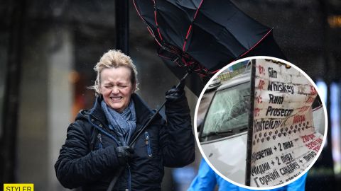 Київ накрив штормовий вітер: зірваний рекламний щит розбив авто, обірвані ЛЕП (фото)