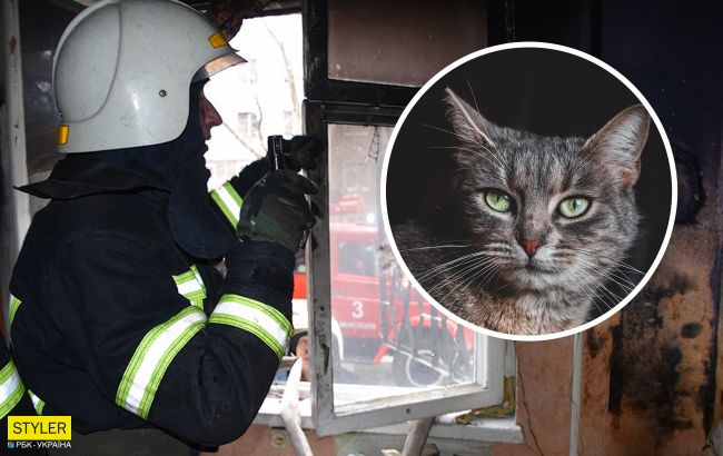 Делали массаж сердца: во Львове "копы" спасли кошку, которая надышалась угарным газом (видео)