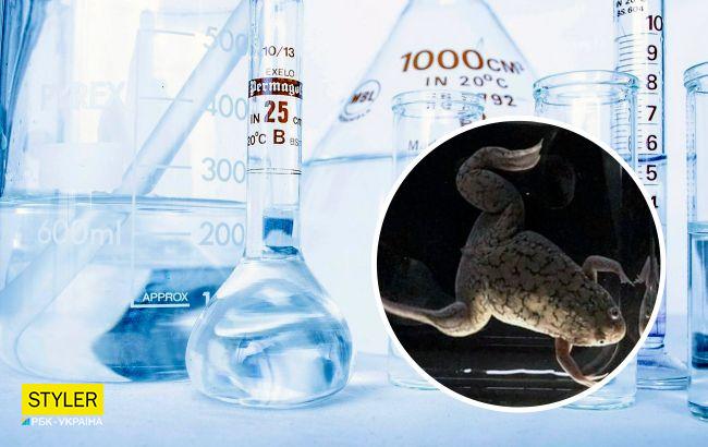 Вчені хочуть навчитися відрощувати втрачені кінцівки і органи людей: з жабою експеримент вдався