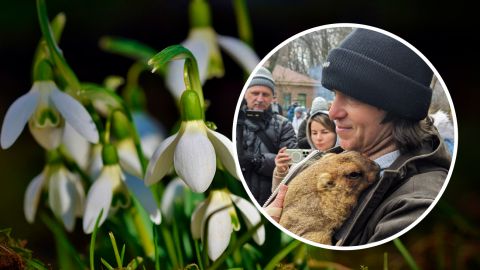 День сурка: харьковский Тимко дал свой прогноз на весну