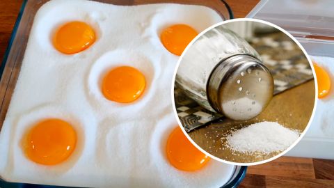 Вперше в історії білий ведмідь вбив і зжер північного оленя: драматичні кадри