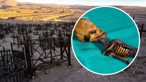 На Донбасі ЗСУ вперше застосували турецький дрон "Bayraktar": відео удару по ворожій артилерії