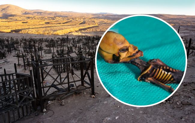 "Гуманоид Атакамы". Как выглядит загадочная крошечная мумия, найденная учеными, и что о ней известно