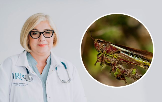 Батончики з цвіркунів та хробаків: алерголог пояснила, наскільки безпечна такая їжа