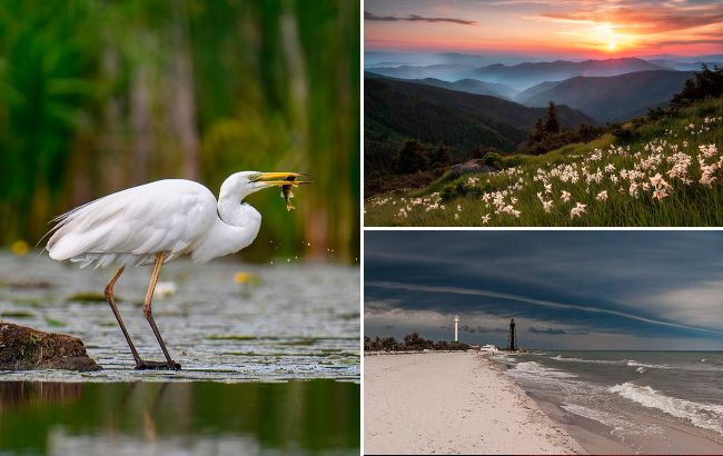 Представили 10 самых красивых фото природы со всей Украины. Это просто невероятно