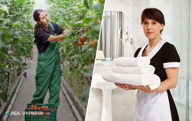 Без знания языка. Сколько могут заработать украинцы в Венгрии