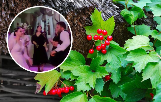 "І Україна - бо в нас іншої нема": у Сімферополі на весіллі танцювали під "Одну калину" Ротару