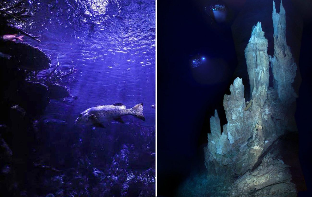 Затерянный город на дне Атлантического океана - ученые показали видео ...